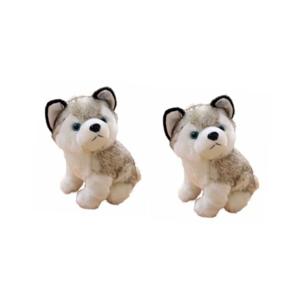 Toyvian Jouets pour Enfants Ensemble De Jeu pour Enfants Rayan Jouets pour Enfants Kidtoy Peluche Cadeau Chien Huskie Peluche
