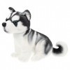 ERINGOGO Poupée Husky Poupées Husky Kawaii Ornements De Chien De Simulation Jouets Husky en Cadeaux Câlins Doux Figurines De 