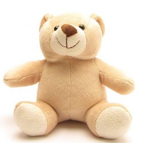 Ours en peluche - Ours en peluche