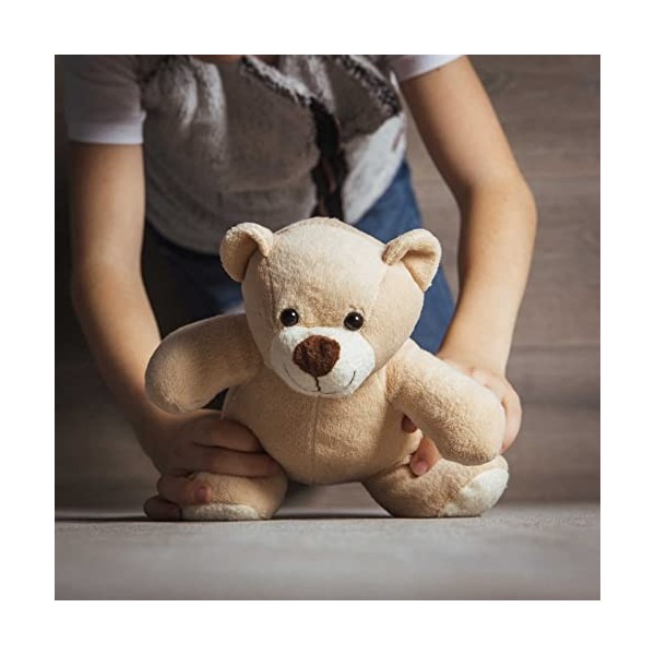 Ours en peluche - Ours en peluche