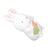 ERINGOGO Peluche Poupée Lapin De Pâques Jolie Poupée Lapin Cadeau De Pâques pour Fille Lapin avec Poupée Carotte Poupée Douce