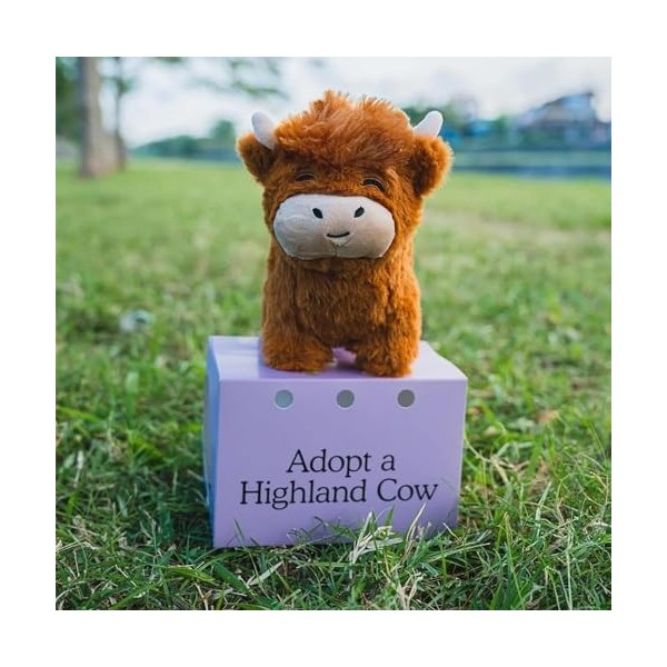 Adoptez une peluche de vache des Highlands animal en peluche de vache mignonne jouets réalistes en peluche de bétail des High