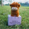 Adoptez une peluche de vache des Highlands animal en peluche de vache mignonne jouets réalistes en peluche de bétail des High