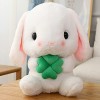 Peluche Lapin Oreilles Longues Radis Petit Lapin Blanc poupée Oreiller Grande poupée Mignonne-B, 22cm