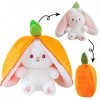 WOKICOR Jouets Lapin Muppet, Oreiller en Peluche, Poupée , Lapin de pâques Peluche, Doux Enveloppé dans des Fraises, Cadeau d