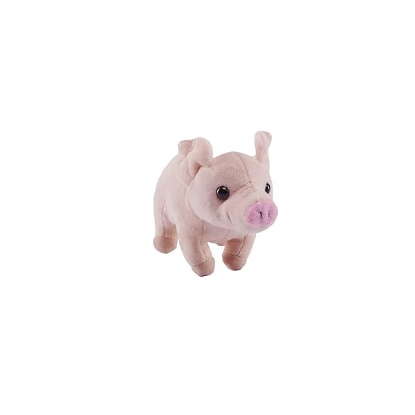 Wild Republic Pocketkins Eco Cochon, Animal en Peluche, 12 cm, Jouet en Peluche, Fabriqué à partir de Matériaux Recyclés, Éco