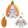 Fantsccy Lapin Carotte Cache-Cache, Peluche Douce et Câline, Bunny Buddies Idées Cadeaux pour Garçons et Filles