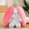 KOWAKA Strawberry Bunny Transformed Into Little Rabbit Fruit Doll Plush Toy Carrot Rabbit Plush Doll Girl Kids Birthday Prese