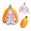 KOWAKA Strawberry Bunny Transformed Into Little Rabbit Fruit Doll Plush Toy Carrot Rabbit Plush Doll Girl Kids Birthday Prese