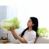 OUKEYI Jouet en peluche pour chien, chou, Shiba Inu Corgi, oreiller doux en forme de légumes, oreiller câlin pour chien, joue