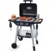 Smoby - Barbecue Grill - 18 Accessoires - Flammes Magiques Rétractables - Jouet dImitation pour Enfant - 312001