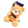 ERINGOGO Poupée Dr Ours Poupée dours De Graduation Cadeaux en Vrac Diplôme De Maternelle Décorations De Fête De Remise des D