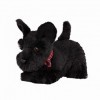 Our Generation - BD35186Z - Chien scottish terrier