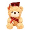 VICASKY Dr Ours Poupée Ours en Peluche Ours Ours en Peluche Graduation Ours Cadeau Ours en Peluche Graduation Casquette Et Ro