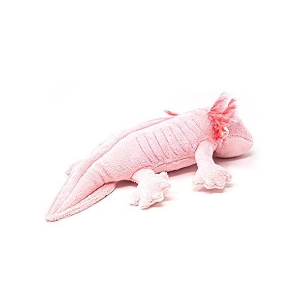 Cornelißen - 1017273 – Axolotl, Amphibie, queue en peluche, 29 cm, lavable jusquà 30 °C