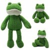 Heionia 40cm Grenouille Peluche Poupée Jouets Cute Grenouille en Peluche Kawaii Animaux Peluche Décoration Cadeau pour Enfant