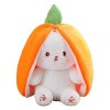 Peluche Lapin Carotte Cache-Cache, Jouet en Peluche Lapin Carotte Douce et Câline, Peluche Lapin de Pâques, Poupée Peluche Fr