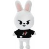 BEAUUP Jouet en peluche pour enfants Skzoo Dwaekki, dessin animé animé pour enfants errants, stray Kids Skzoo en peluche Dwae