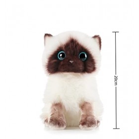 LAARNT 20cm Doudou Siamois, Peluche Chat Siamois Simulation, Peluche Chat Kawaii, PoupéE Douce Cadeau Enfant DéCoration Chamb