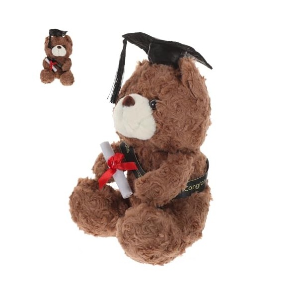 ERINGOGO Dr Ours Poupée Classe De 2023 Ours en Peluche Doctoral Ours Ornement Graduation 2023 Cadeaux Graduation Ours avec Ca