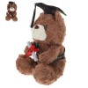 ERINGOGO Dr Ours Poupée Classe De 2023 Ours en Peluche Doctoral Ours Ornement Graduation 2023 Cadeaux Graduation Ours avec Ca