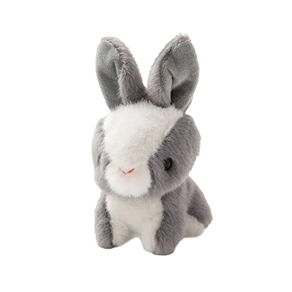 ibasenice Pendentif Lapin Jouet De Poupée Lapin Charme De Clé Floue Adorable Lapin Porte-clés Poupée Lapin Jouets Pour Enfant