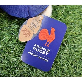 Gipsy Toys - Peluche Ours Fédération Française de Rugby FFR – Peluche Officielle sous Licence - 15 cm Assis – Beige Bleu Ma