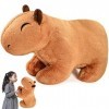 LIVESTN Poupée en Peluche Capybara,36cm Jouet en Peluche Capybara de Simulation,Mignons poupées en Peluche Capybara,weich und