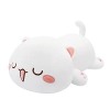 Peluche chat en peluche douce chat en peluche, jouets en peluche et peluches chaton en peluche coussin en peluche Kawaii cous