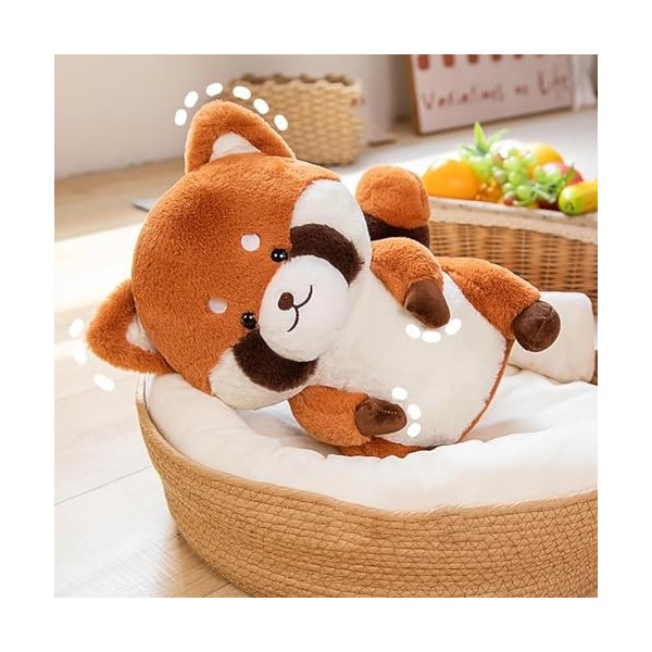 HMLTD Animal en Peluche de Raton Laveur,Animal en Peluche de Raton Laveur en Peluche,Peluche farcie de Raton Laveur - Peluche