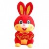 Didiseaon Cadeau Souvenir du Zodiaque Figurines De Lapin du Nouvel an Peluche Zodiaque Chinois Jouet Lapin pour Enfants Lapin