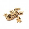 Cornelißen - 1017240 – Gecko léopard, peluche, 27 cm, peluche, lavable jusquà 30 °C