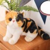 Simulation de chat, 26 cm, jouet en peluche réaliste, poupée en peluche douce, remplie de chat réaliste, figurines danimaux 