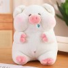 XDDBBB Peluches Cochon Rose en Peluche, Animal en Peluche, poupée Cochon Pelucheux, Oreiller câlin pour Fille, Cadeau danniv