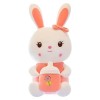 URFEDA Lapin en Peluche, Jouet en Peluche Lapin Mignon Peluche Coussin Oreiller danimaux Kawaii Super Doux Animaux en Peluch