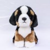 Teddys Rothenburg Bouvier bernois petit assis 18 cm en peluche pour chien