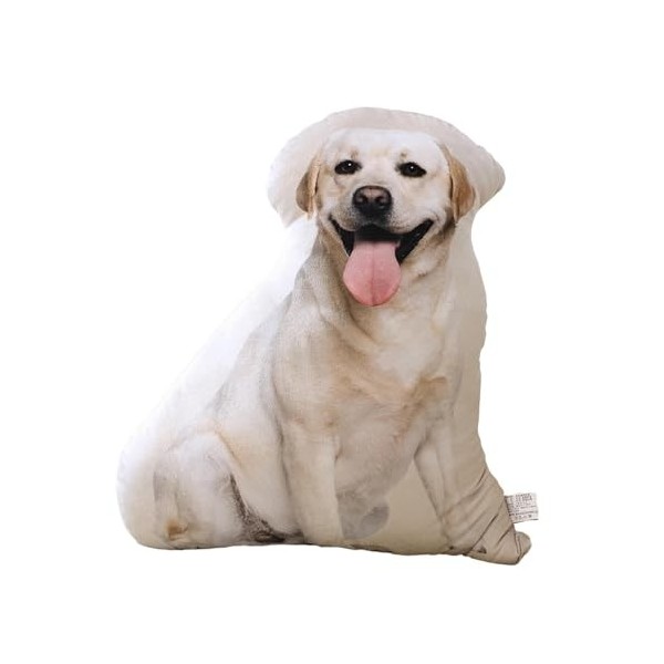 Colcolo Oreiller en Peluche Animaux, poupée à câliner, Jouets daccompagnement pour Enfants, Jouet en Peluche pour Cosplay, V