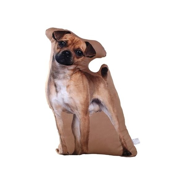 Colcolo Oreiller en Peluche Animaux, poupée à câliner, Jouets daccompagnement pour Enfants, Jouet en Peluche pour Cosplay, V