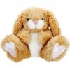 VFM - Miel Lapin 20 cm en Peluche Milly Lapin à Vie