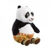 Rainbow Designs Kung-Fu Peluche Panda Po 25 cm