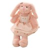 ERINGOGO Lapin en Peluche Jouet en Peluche De Lapin Figurines De Lapin en Peluche Jouets en Peluche Doux Cadeaux danniversai