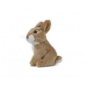Living Nature- Soft Toy Animaux An238&nbsp;Peluche Assis bébé Lapin, Inconnues, Unknown, Petit