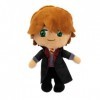 Grandi Giochi Harry Potter Peluche 29 cm Assortie, Harry, Ron Edvige, HRR24000