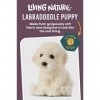 Living Nature Chiot Labradoodle, jouet doux et réaliste pour chien, peluche naturelle et écologique, 16 cm