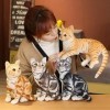 27-36 cm Simulation Shorthai et chat siamois en peluche poupée réaliste animaux jouets pour animaux de compagnie