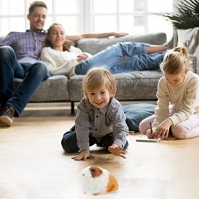 STOBOK Cochon dInde en Peluche Hamster Animaux en Peluche Jouets en Peluche Réalistes Poupée en Peluche Peluches Douces pour