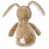 Rainbow Designs Hochet Little Nutbrown Hare — Jouets sensoriels pour bébés | Hochet en peluche doux pour bébés