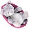 NICI Panier Rose-Violet 16 cm-Sleeping Kitties Peluches Chatons douillettes pour Filles, garçons et bébés-Doudous Chats pour 