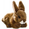 Carl Dick Peluche Lièvre, Lapin Assis Beige, 17cm 2755001