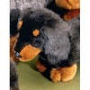 Förster Stofftiere 1555 Teckel en peluche à poils courts Debout 26 cm